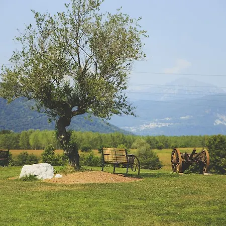 Contessi Çiftlik konaklama *