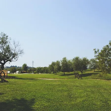 Çiftlik konaklama Contessi