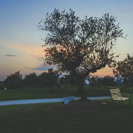 Contessi San Daniele del Friuli